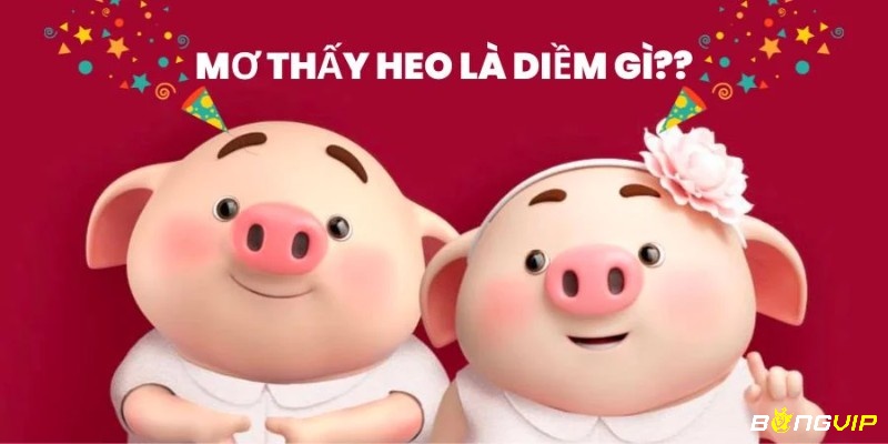 Giải mã giấc mơ thấy heo mang theo điềm báo tương lai