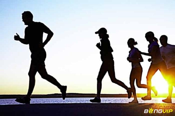 Nguồn gốc ra đời và quá trình phát triển của luật an toàn trong thể thao tại Việt Nam
